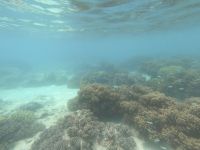 170.15 – Australien, Great Barrier Reef &ndash; &copy; Vivien Fiedler (Eberhardt TRAVEL)