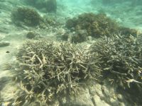 170.23 – Australien, Great Barrier Reef &ndash; &copy; Vivien Fiedler (Eberhardt TRAVEL)