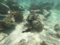 170.30 – Australien, Great Barrier Reef &ndash; &copy; Vivien Fiedler (Eberhardt TRAVEL)