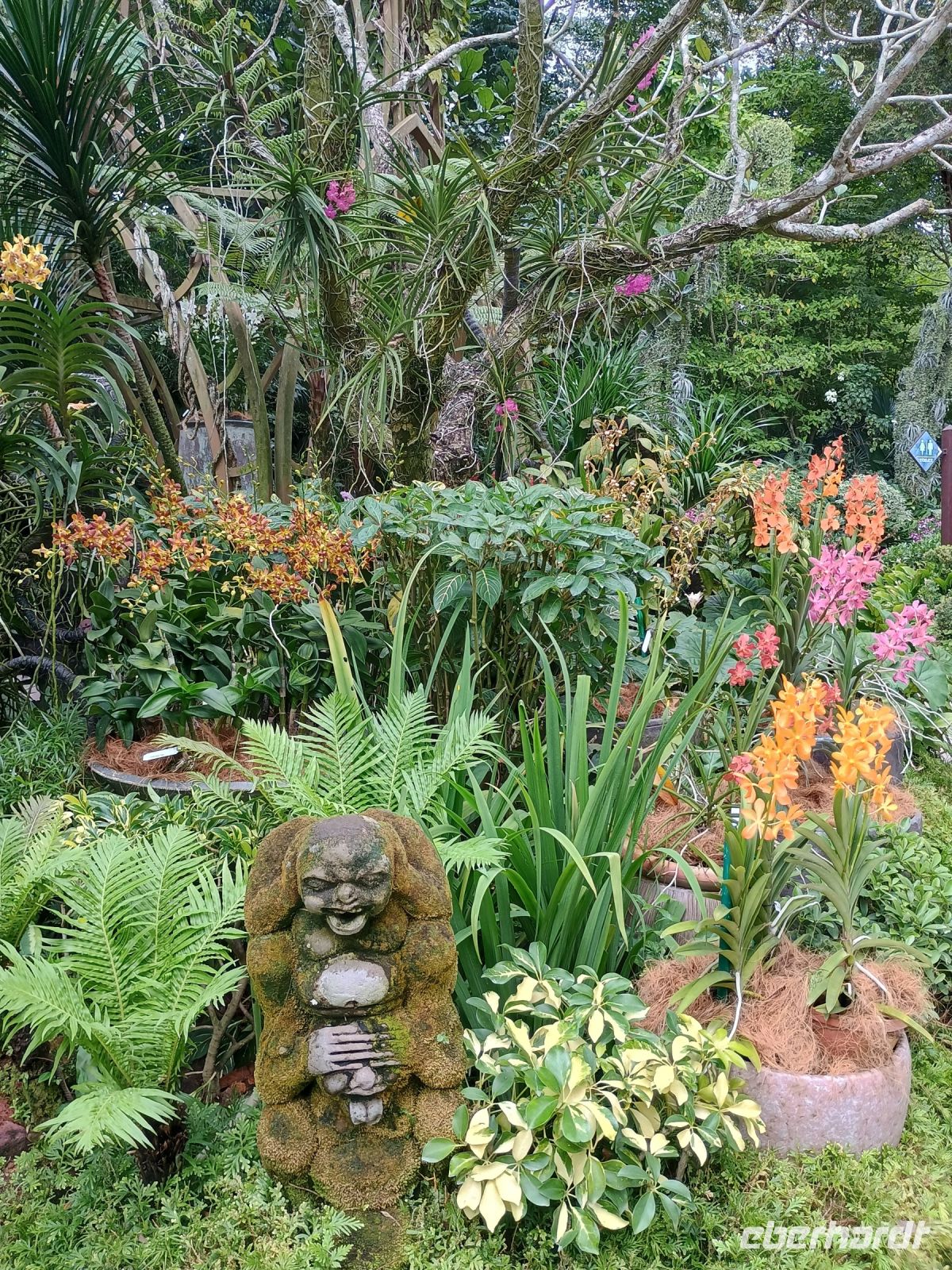 Singapur - Botanischer Garten &ndash; &copy; Johanna König (Eberhardt TRAVEL)
