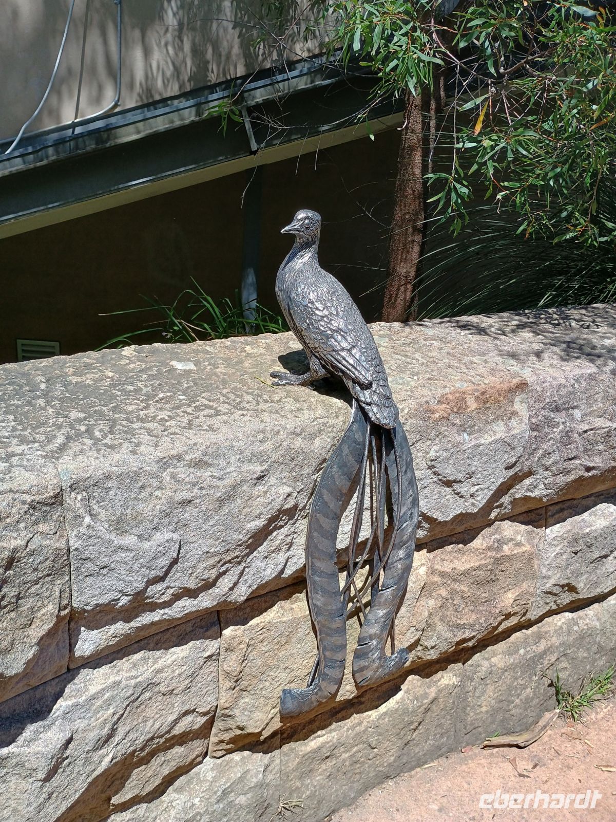 Blue Mountains &ndash; &copy; Johanna König (Eberhardt TRAVEL)