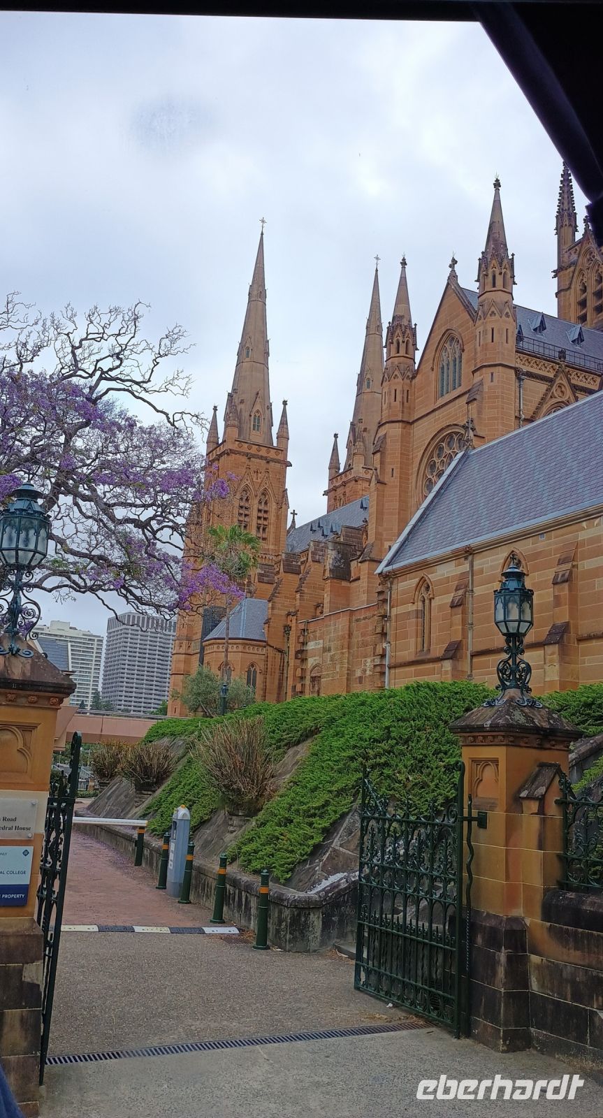 Sydney - St. Marys Kathedrale &ndash; &copy; Johanna König (Eberhardt TRAVEL)