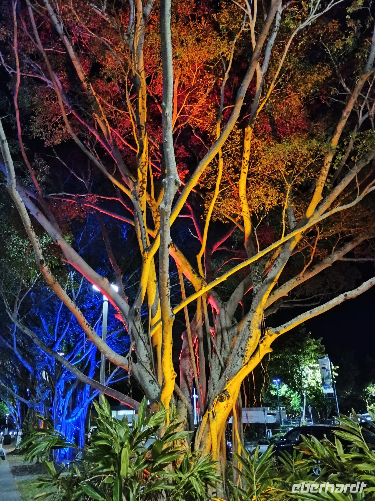 Cairns &ndash; &copy; Johanna König (Eberhardt TRAVEL)