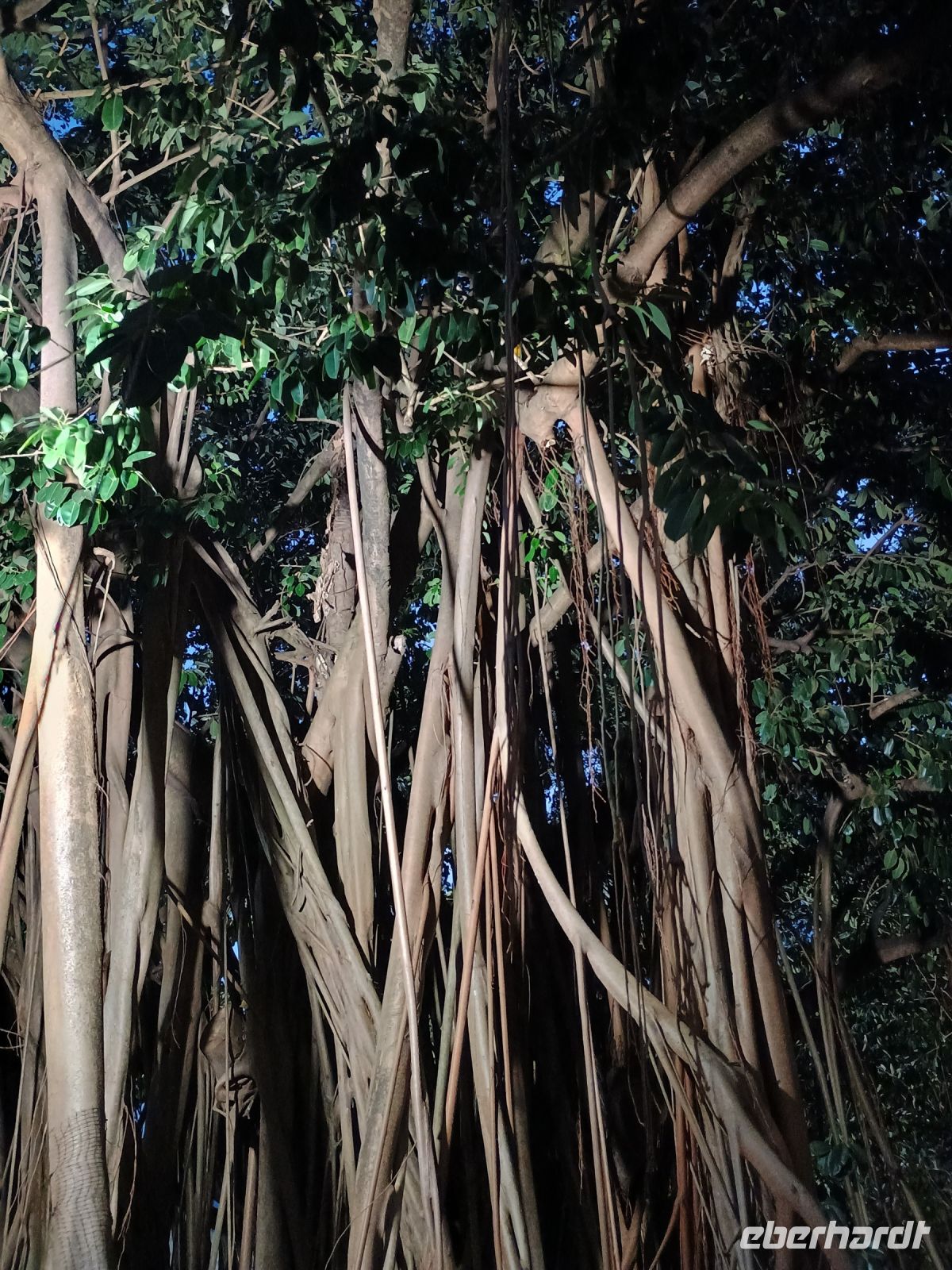 Cairns &ndash; &copy; Johanna König (Eberhardt TRAVEL)