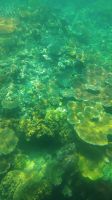 Cairns - Great Barrier Reef &ndash; &copy; Johanna König (Eberhardt TRAVEL)