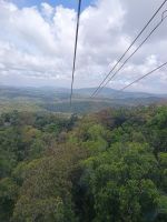 Cairns - Skyrail &ndash; &copy; Johanna König (Eberhardt TRAVEL)