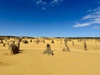 5. Reisetag – Tagesausflug in den Norden von Perth – Pinnacles im Nambung-Nationalpark &ndash; &copy; Andreas Wolfsteller (Eberhardt TRAVEL)