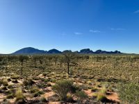 8. Reisetag – Fotostopp „Kata Tju?a Dunes Viewing Area“ &ndash; &copy; Andreas Wolfsteller (Eberhardt TRAVEL)