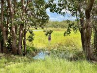 12. Reisetag – Fahrt in den Kakadu-Nationalpark – Warnung vor Krokodilen &ndash; &copy; Andreas Wolfsteller (Eberhardt TRAVEL)