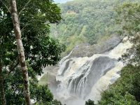15. Reisetag – Tagesausflug in den Regenwald – Skyrail nach Kuranda – Barron Falls &ndash; &copy; Andreas Wolfsteller (Eberhardt TRAVEL)