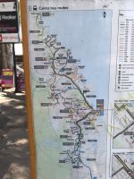 Palm Cove