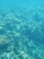 Great Barrier Reef &ndash; &copy; Mariele Koeckeritz (Eberhardt TRAVEL)