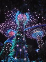 Supertrees &ndash; &copy; Mariele Koeckeritz (Eberhardt TRAVEL)