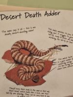 Desert Death Adder &ndash; &copy; Mariele Koeckeritz (Eberhardt TRAVEL)