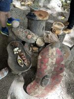 Cairns: Tagesausflug Mossman Gorge Willkommenszeremonie &ndash; &copy; Anne Fohlert (Eberhardt TRAVEL)