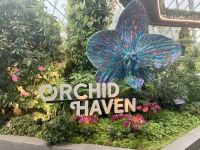 Cloud Forest, Singapur  &ndash; &copy; Mareike Schmidt (Eberhardt TRAVEL)