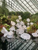 Cloud Forest, Singapur  &ndash; &copy; Mareike Schmidt (Eberhardt TRAVEL)
