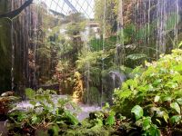 Cloud Forest, Singapur  &ndash; &copy; Mareike Schmidt (Eberhardt TRAVEL)