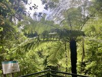 Scenic World, Blue Mountains  &ndash; &copy; Mareike Schmidt (Eberhardt TRAVEL)