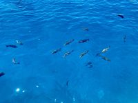 Great Barrier Reef  &ndash; &copy; Mareike Schmidt (Eberhardt TRAVEL)