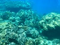 Great Barrier Reef  &ndash; &copy; Mareike Schmidt (Eberhardt TRAVEL)