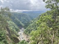 Regenwald &ndash; &copy; Mareike Schmidt (Eberhardt TRAVEL)