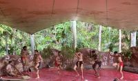 Aboriginals, Kuranda &ndash; &copy; Mareike Schmidt (Eberhardt TRAVEL)