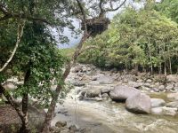 Regenwald  &ndash; &copy; Mareike Schmidt (Eberhardt TRAVEL)