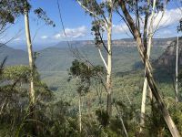 Blue Mountains - Jamison Valley &ndash; &copy; Patrick Fritzsche (Eberhardt TRAVEL)