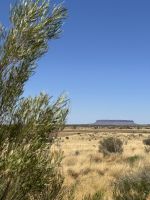 Outback - Mount Conner &ndash; &copy; Patrick Fritzsche (Eberhardt TRAVEL)