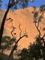 Uluru / Ayers Rock &ndash; &copy; Patrick Fritzsche (Eberhardt TRAVEL)
