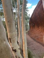 Uluru / Ayers Rock &ndash; &copy; Patrick Fritzsche (Eberhardt TRAVEL)