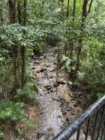 Mossman Gorge &ndash; &copy; Patrick Fritzsche (Eberhardt TRAVEL)
