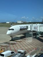 Rückreise Teil 2: Brisbane - Singapur &ndash; &copy; Patrick Fritzsche (Eberhardt TRAVEL)