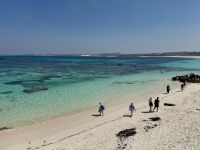 5. Tag: Tagesausflug auf die Rottnest Island – Fahrradtour – Strand an der Parker Point Sanctuary Zone