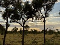 11. Tag: Erkundungen am Uluru – Spaziergang zum Mutitjulu-Wasserloch