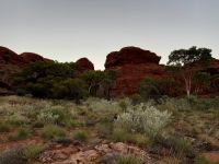 10. Tag: Morgenspaziergang am Kings Canyon (Kings Canyon Rim Walk)