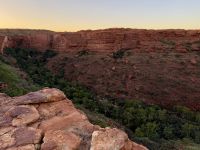 10. Tag: Morgenspaziergang am Kings Canyon (Kings Canyon Rim Walk)