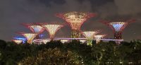 11 Illuminated trees &ndash; &copy; Susanne Schirmann (Eberhardt TRAVEL)