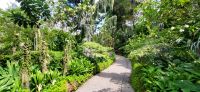 27 Orchideengarten Singapur &ndash; &copy; Susanne Schirmann (Eberhardt TRAVEL)