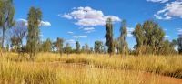 66 Ankunft im Outback &ndash; &copy; Susanne Schirmann (Eberhardt TRAVEL)