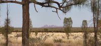 79 Blick auf Katatjutas &ndash; &copy; Susanne Schirmann (Eberhardt TRAVEL)
