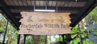 164 Featherdale Wildlife Park &ndash; &copy; Susanne Schirmann (Eberhardt TRAVEL)