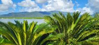 203 herrliche Aussicht zum Regenwald &ndash; &copy; Susanne Schirmann (Eberhardt TRAVEL)