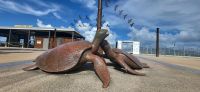 204 Marina Cairns &ndash; &copy; Susanne Schirmann (Eberhardt TRAVEL)