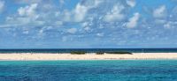 212 Sandbank mit Brutstätten &ndash; &copy; Susanne Schirmann (Eberhardt TRAVEL)