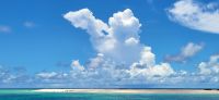 214 Sandbank mit Brutstätten &ndash; &copy; Susanne Schirmann (Eberhardt TRAVEL)