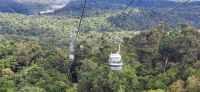 225 Skyrail Kuranda &ndash; &copy; Susanne Schirmann (Eberhardt TRAVEL)