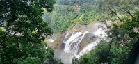 227 Barron Falls &ndash; &copy; Susanne Schirmann (Eberhardt TRAVEL)