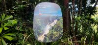 229 Kuranda &ndash; &copy; Susanne Schirmann (Eberhardt TRAVEL)